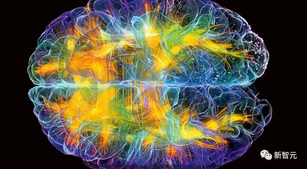永远在线的人工智能：通用神经形态硬件才是 AI 的未来吗？