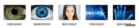 生物识别技术的领跑者